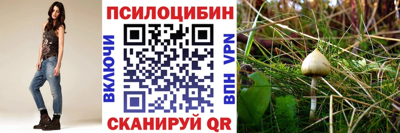 Псилоцибиновые грибы Magic Shrooms  Канаш 